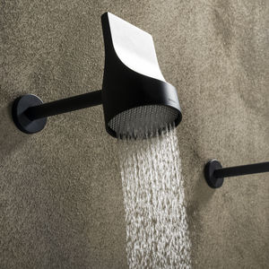 wall-mounted shower head 1
