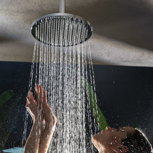 ceiling shower head 1