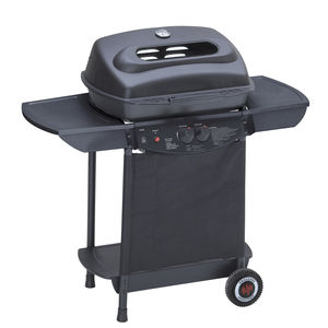 gas barbecue 1