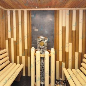 electric sauna 1