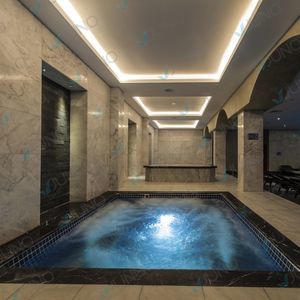 rectangular swimming pool-spa 1