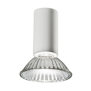 surface mounted downlight