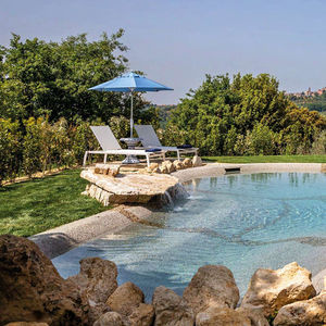 natural swimming pool 1