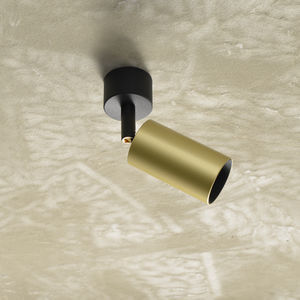 ceiling-mounted spotlight