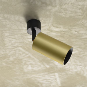 ceiling-mounted spotlight