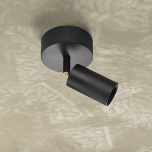 ceiling-mounted spotlight