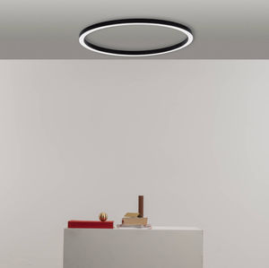 contemporary ceiling light 1