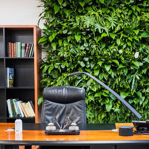 green wall with live plants