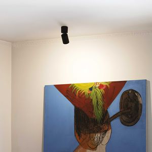 ceiling-mounted spotlight