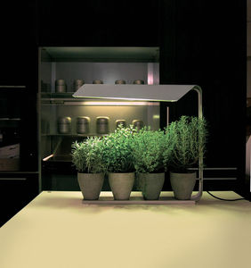 grow lamp 1