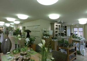 contemporary ceiling light