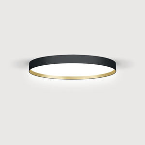 surface-mounted light fixture