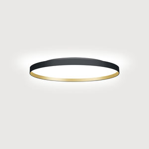 surface-mounted light fixture 1