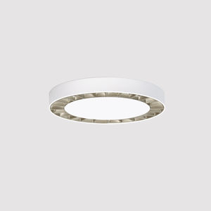 surface-mounted light fixture