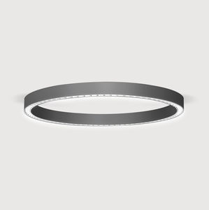 surface-mounted light fixture 1