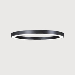 contemporary ceiling light 1