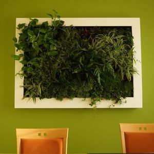 slim green wall