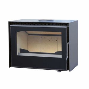 wood-burning fireplace insert