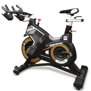 exercise bike 1