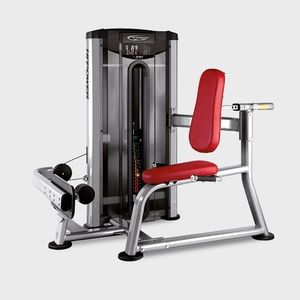 seated dips weight training machine