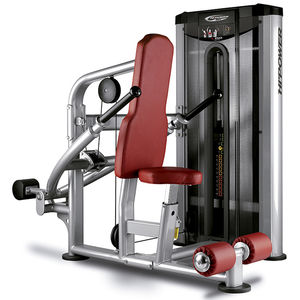seated dips weight training machine