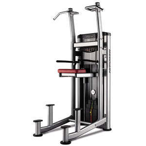 dips weight training machine