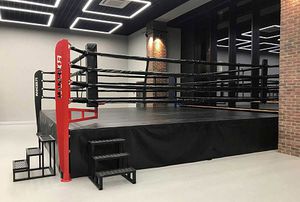 boxing ring 1