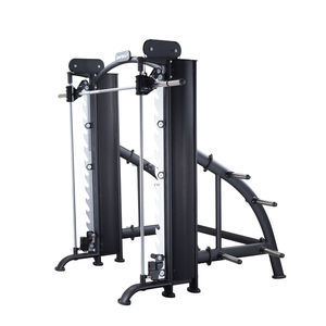 Arm curl weight training machine - A979 LOW ROW - SportsArt