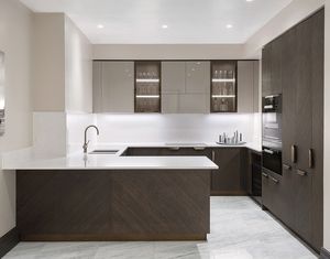 contemporary kitchen