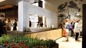 contemporary kitchen 1