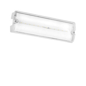 surface mounted emergency light