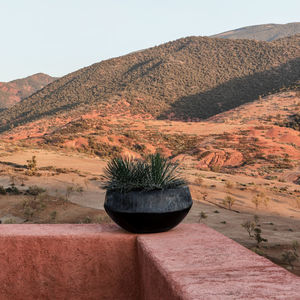 terracotta planter