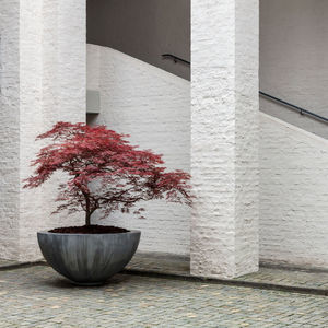 zinc planter