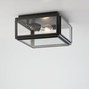 traditional ceiling light