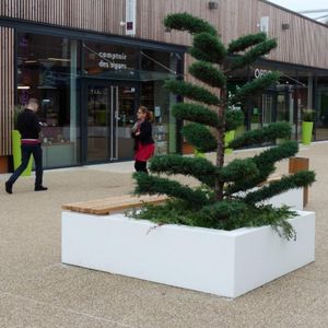 bench with integrated planter