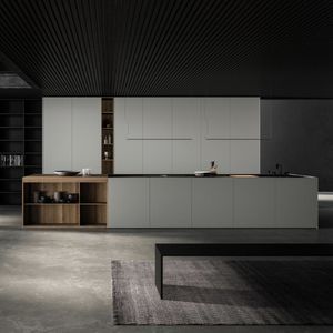 contemporary kitchen 1
