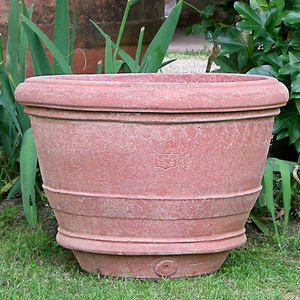 terracotta plant pot