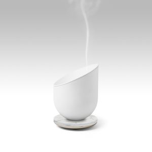home fragrance diffuser 1
