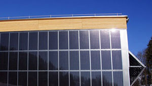 monocrystalline PV panel
