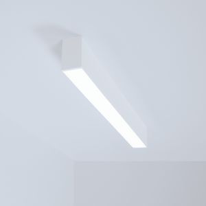 surface-mounted light fixture 1