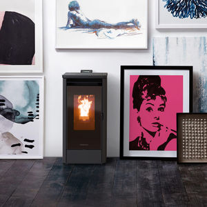 pellet heating stove
