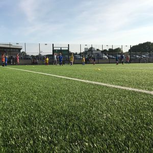 synthetic grass