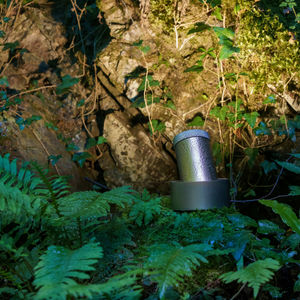 IP66 floodlight