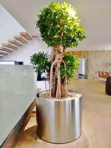 brushed stainless steel planter