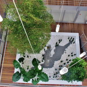 large ornamental plant