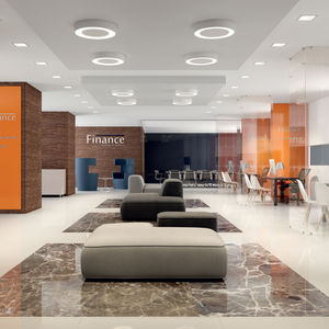 surface-mounted light fixture 1