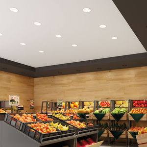 recessed downlight 1