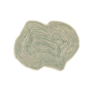 contemporary rug 1