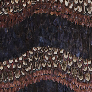 interior wall-covering 1