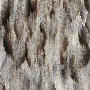 interior wall-covering